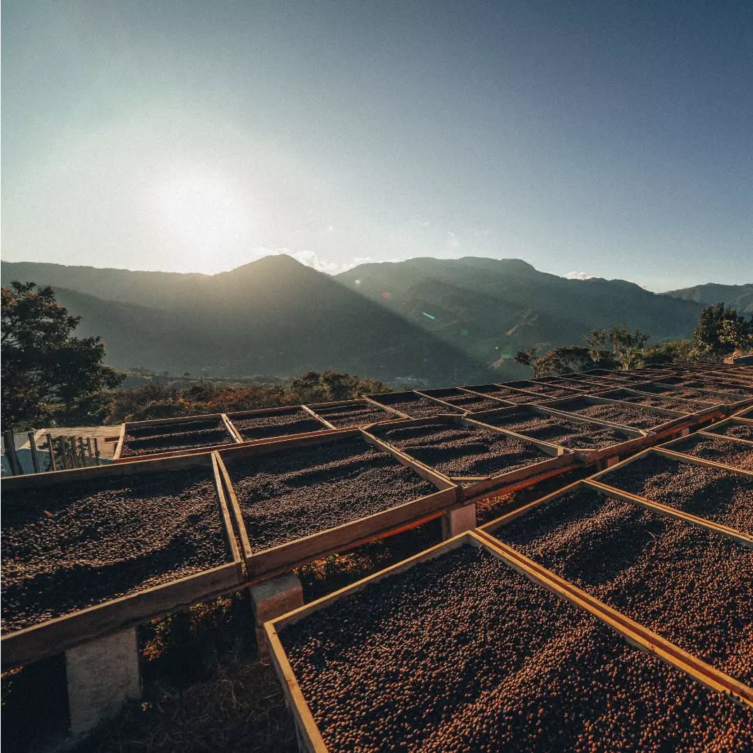 Finca Cascaritas