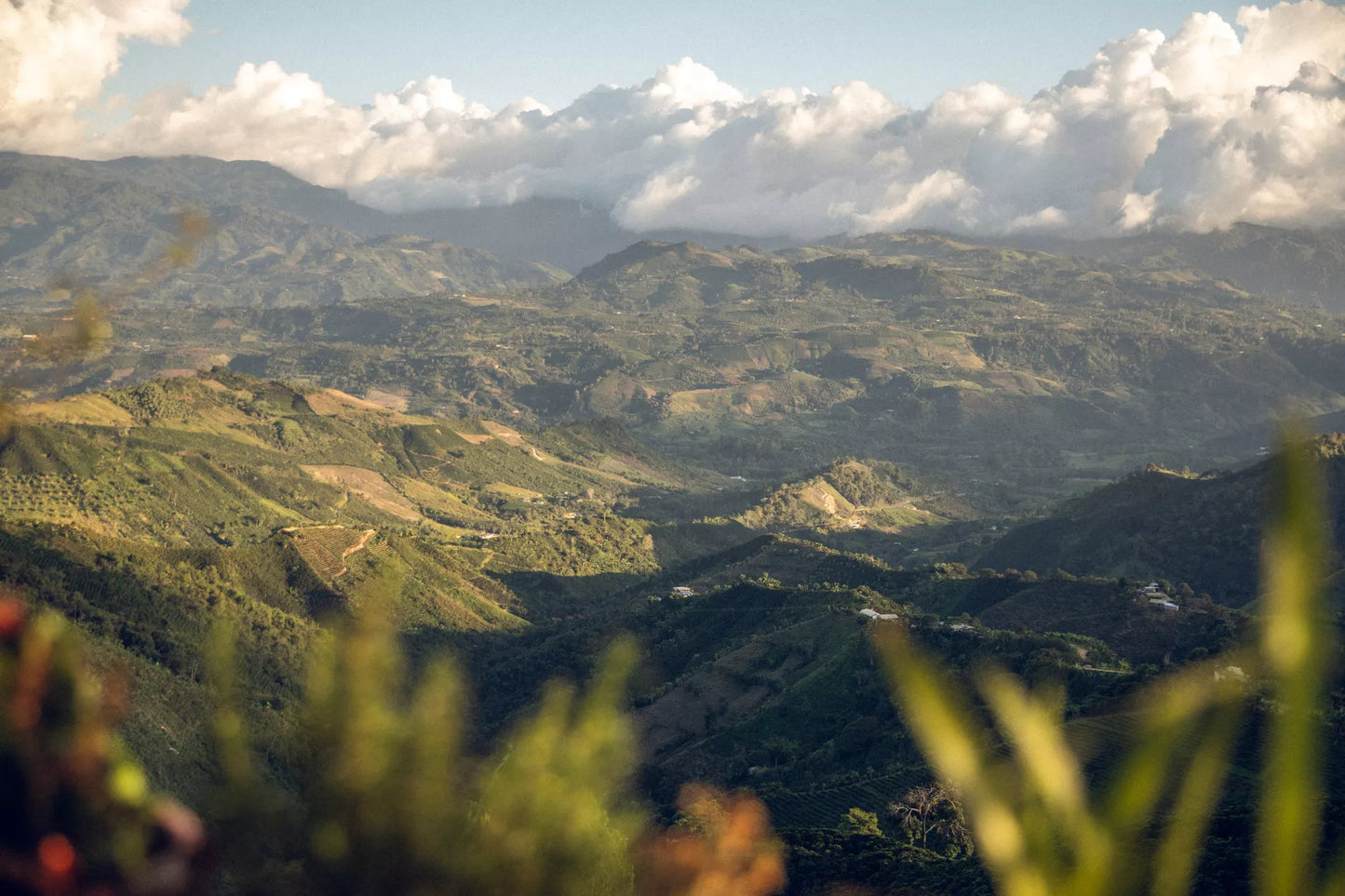 Palermo Nature