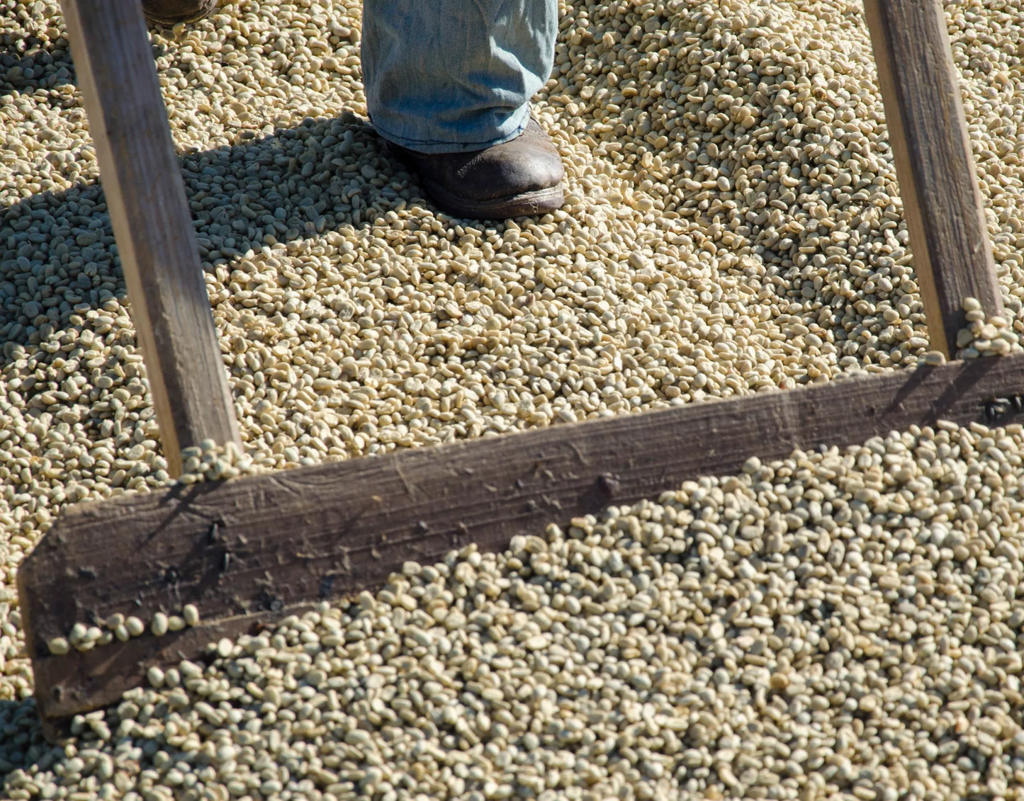 Finca Buenos Aires