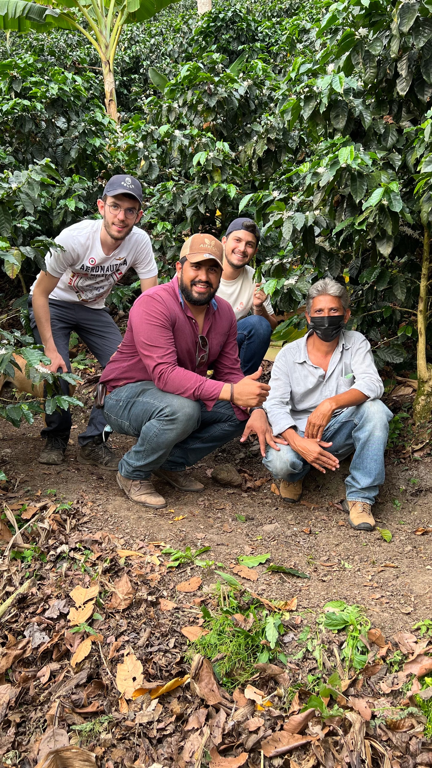 Finca Buenos Aires