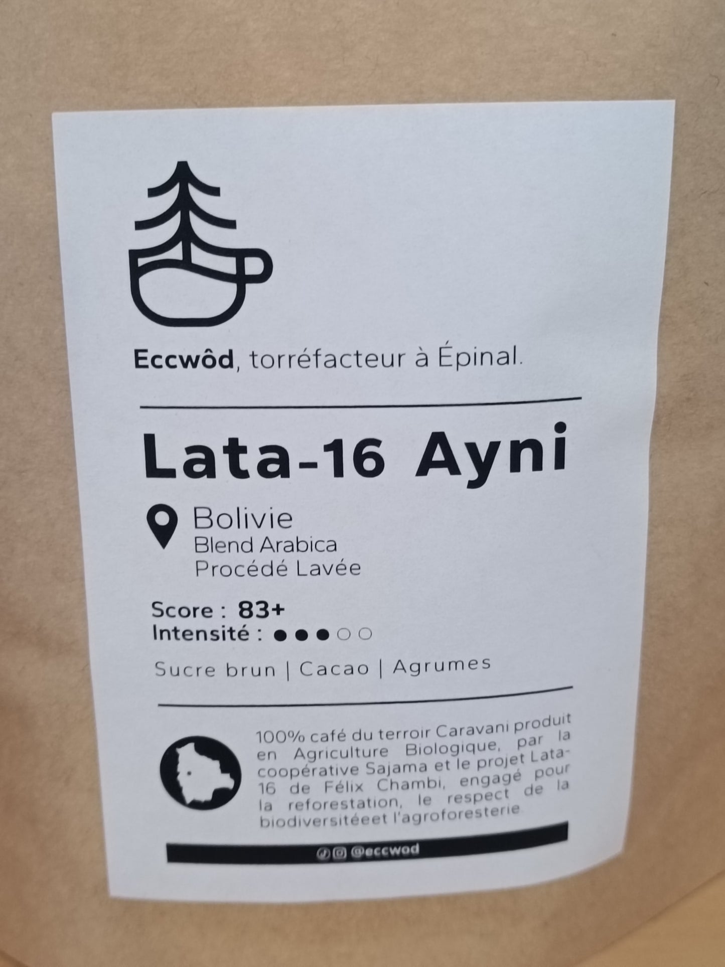 Lata 16 Ayni