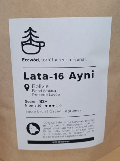 Lata 16 Ayni