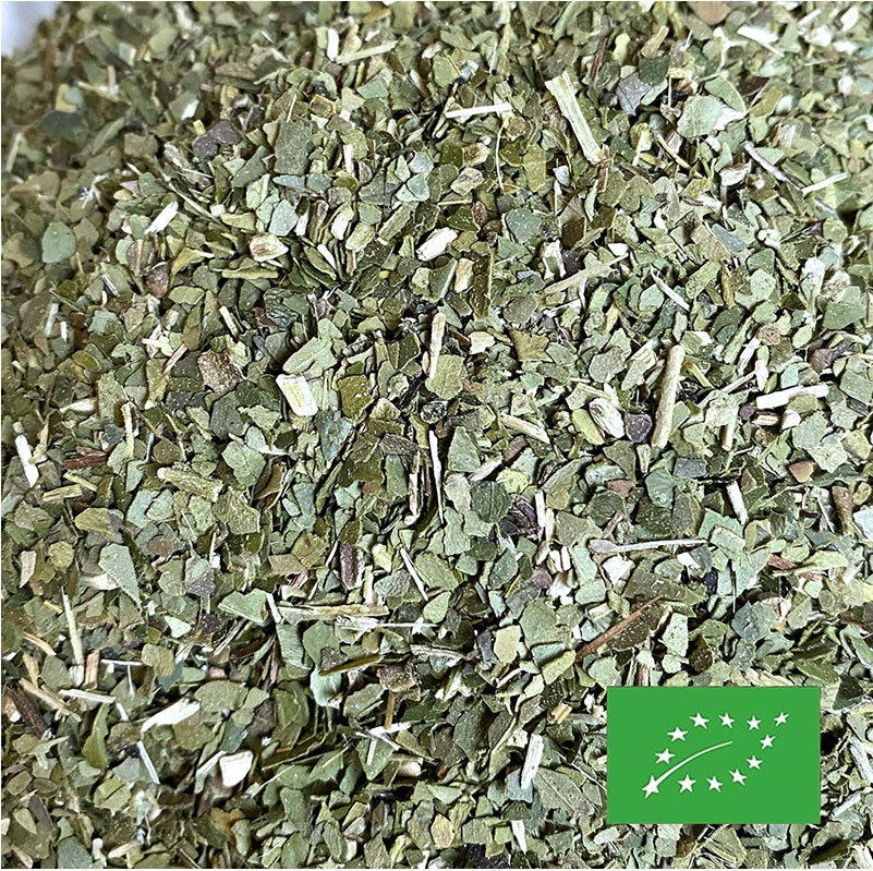 Maté vert