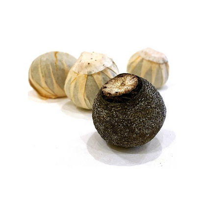 Puer Mandarine 2015