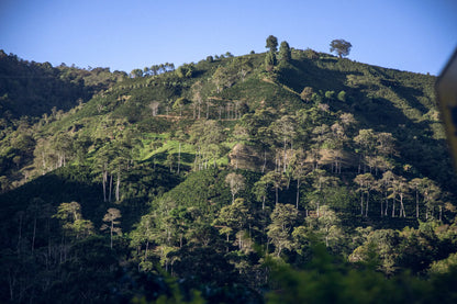 Palermo Nature